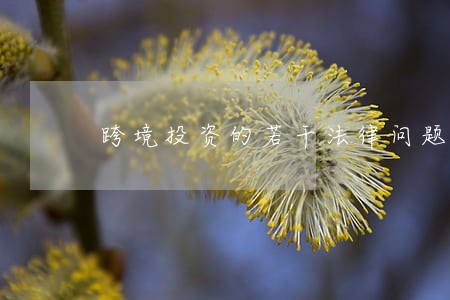 跨境投资的若干法律问题 跨境投资的若干法律问题