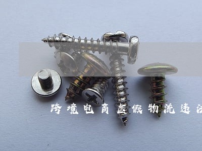 跨境电商虚假物流违法消费法