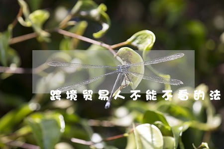 跨境贸易人不能不看的法律干货 跨境贸易人不能不看的法律干货