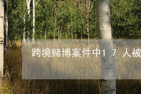 跨境赌博案件中17人被法院公审 跨境赌博案件中17人被法院公审