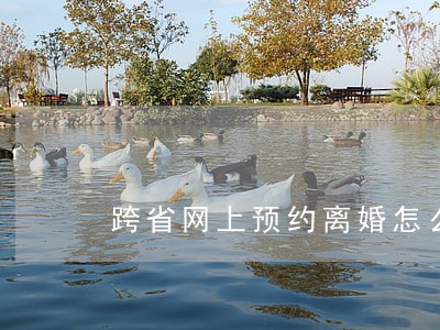 跨省网上预约离婚怎么预约 跨省网上预约离婚怎么预约