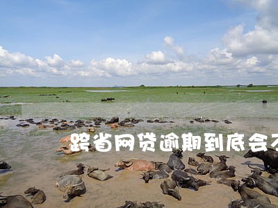 跨省网贷逾期到底会不会被起诉
