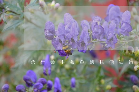 跨行会不会查到其他银行逾期 跨行会不会查到其他银行逾期