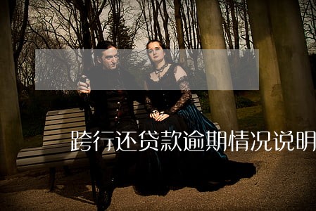 跨行还贷款逾期情况说明范文 跨行还贷款逾期情况说明范文