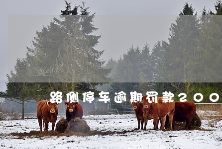 路侧停车逾期罚款200 路侧停车逾期罚款200
