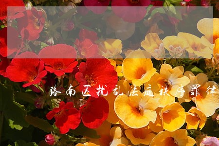路南区扰乱法庭秩序罪律师 路南区扰乱法庭秩序罪律师