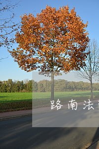 路南法院重拳打击虚假诉讼
