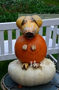 路政法律关系的客体是什么 路政法律关系的客体是什么