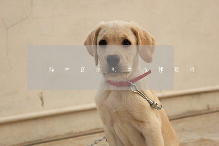 路桥区法制办法律顾问 路桥区法制办法律顾问
