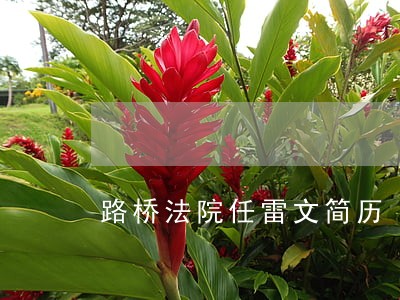 路桥法院任雷文简历