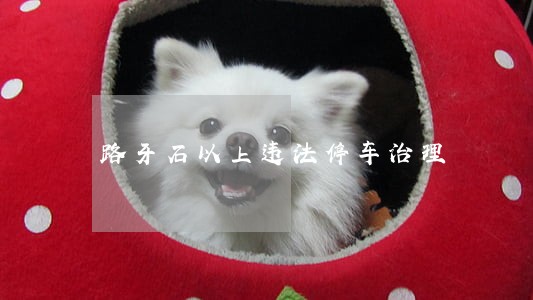 路牙石以上违法停车治理 路牙石以上违法停车治理