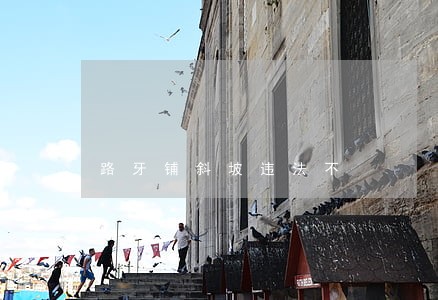 路牙铺斜坡违法不 路牙铺斜坡违法不