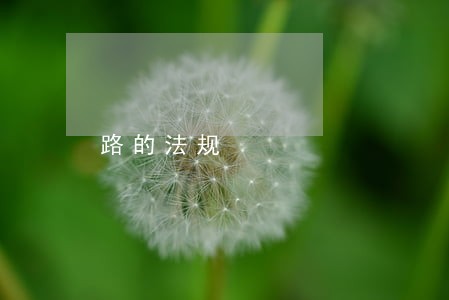 路的法规