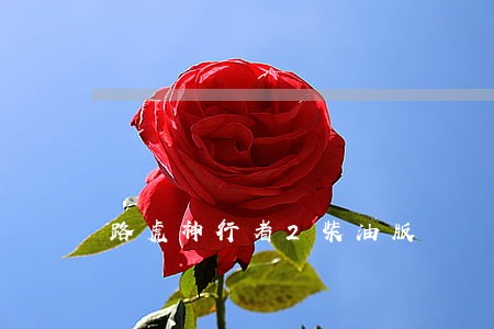 路虎神行者2柴油版 路虎神行者2柴油版