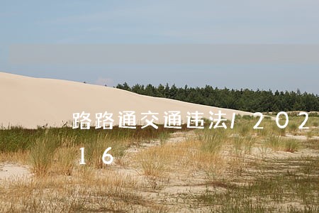 路路通交通违法/2023020484216 路路通交通违法/2023020484216