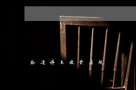 路边停车收费法规 路边停车收费法规