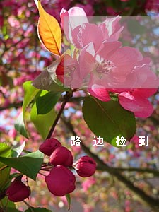 路边捡到4件烟算不算违法 路边捡到4件烟算不算违法