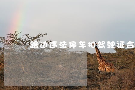 路边违法停车扣驾驶证合法吗 路边违法停车扣驾驶证合法吗
