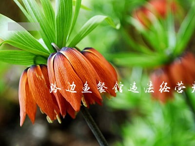 路边鱼餐馆违法经营严重 路边鱼餐馆违法经营严重