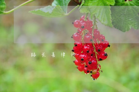 路长喜律师 路长喜律师