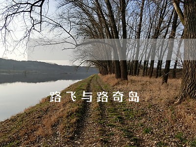 路飞与路奇岛 路飞与路奇岛