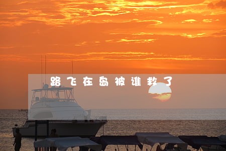 路飞在岛被谁救了