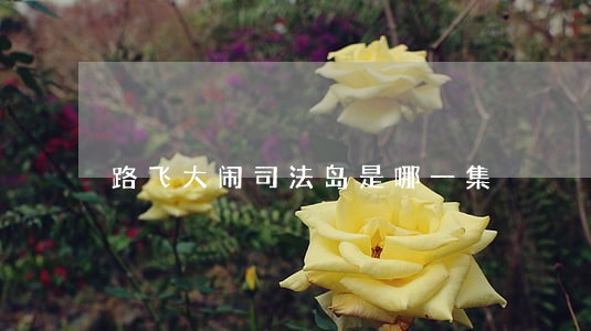 路飞大闹司法岛是哪一集 路飞大闹司法岛是哪一集
