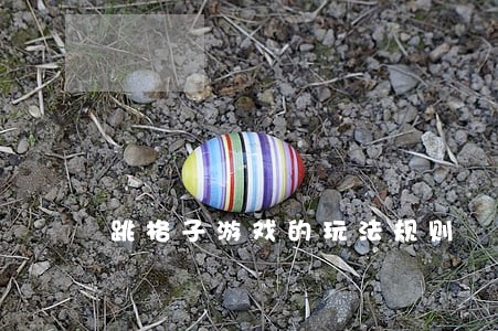 跳格子游戏的玩法规则 跳格子游戏的玩法规则