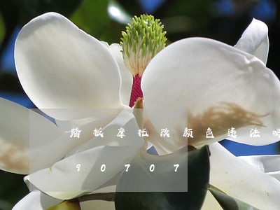 踏板摩托改颜色违法吗/2023020190707 踏板摩托改颜色违法吗/2023020190707