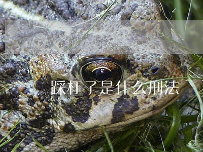 踩杠子是什么刑法 踩杠子是什么刑法
