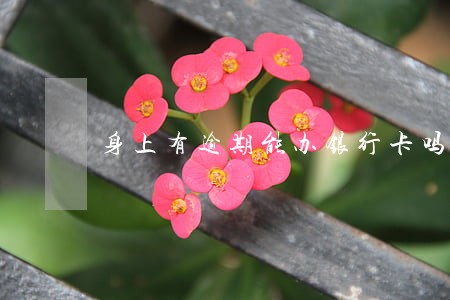 身上有逾期能办银行卡吗 身上有逾期能办银行卡吗