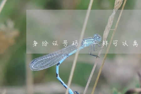 身份证号码不一样可以离婚吗 身份证号码不一样可以离婚吗