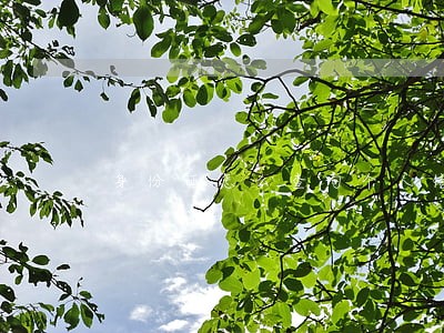 身份证怎么查询个人信息 身份证怎么查询个人信息