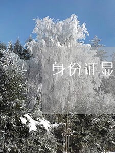 身份证显示违法信息 身份证显示违法信息