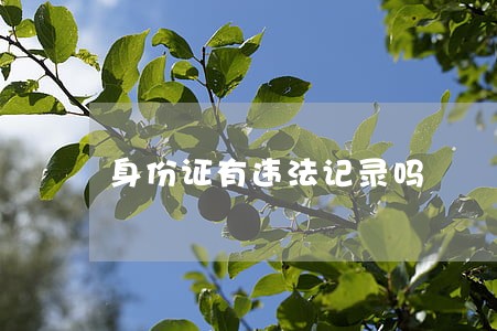 身份证有违法记录吗 身份证有违法记录吗