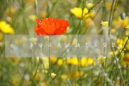 身份证有逾期怎么贷款 身份证有逾期怎么贷款