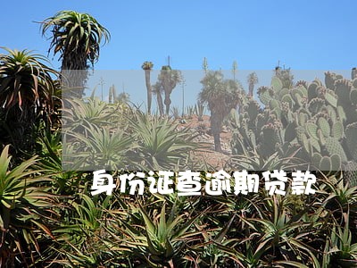 身份证查逾期贷款 身份证查逾期贷款