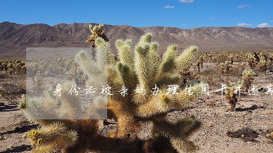 身份证被亲妈办理信用卡并逾期 身份证被亲妈办理信用卡并逾期