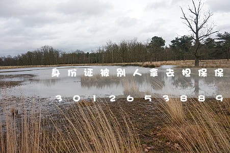 身份证被别人拿去担保保险违法吗/2023012653889 身份证被别人拿去担保保险违法吗/2023012653889
