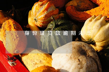 身份证贷款逾期未还 身份证贷款逾期未还