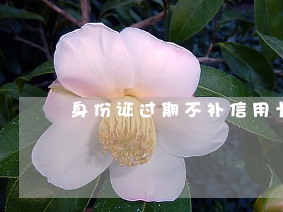 身份证过期不补信用卡逾期