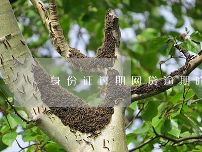 身份证过期网贷逾期咋办 身份证过期网贷逾期咋办