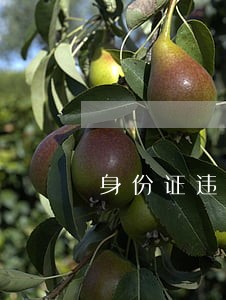 身份证违法信息怎么查询