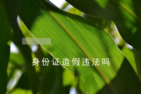身份证造假违法吗