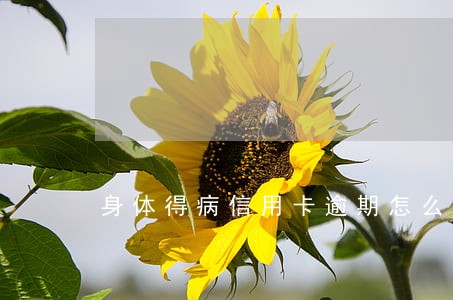 身体得病信用卡逾期怎么处理