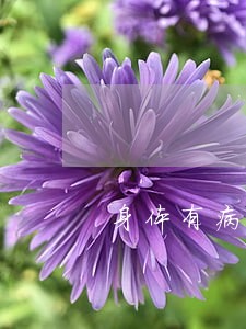 身体有病网贷逾期怎么办