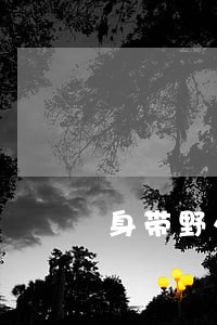 身带野外用刀是违法吗 身带野外用刀是违法吗