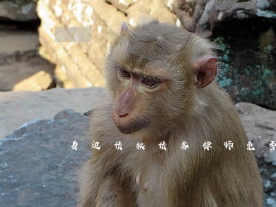 身边债权债务律师免费咨询 身边债权债务律师免费咨询