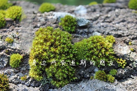 身边网贷逾期的朋友 身边网贷逾期的朋友