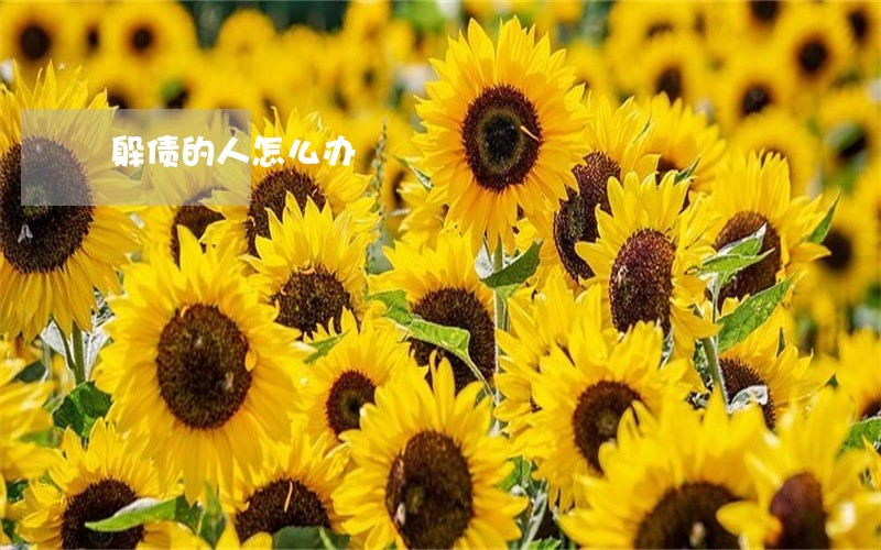 躲债的人怎么办